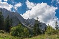 0124 Aravis Plachaux